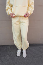 Load image into Gallery viewer, Chloe Fleece Jogger Pant