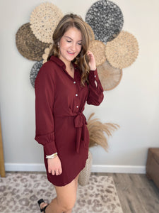 Caroline Button Up Dress