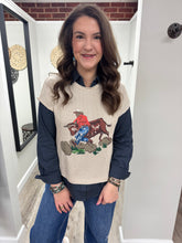 Load image into Gallery viewer, Hazy Hazer Top