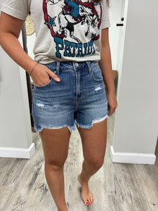 High Rise-Front Distressed Shorts