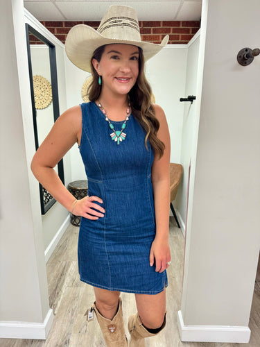 Lilly Denim Dress